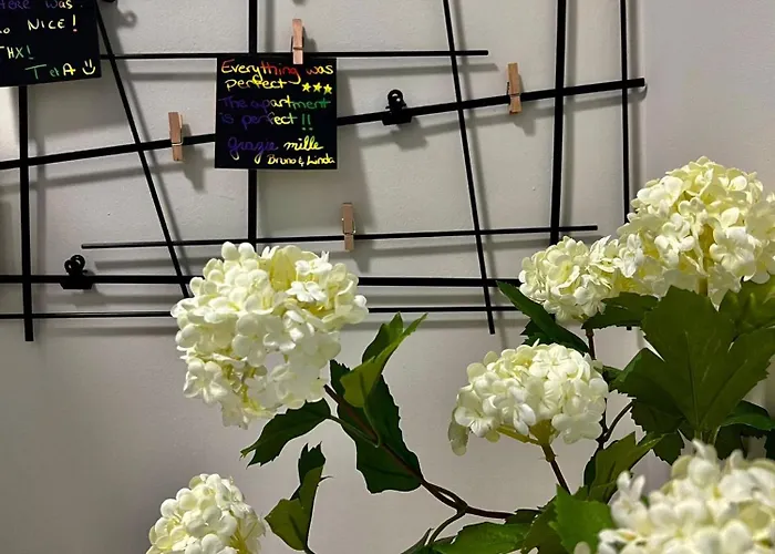 The Birdsong Between Two Lakes *